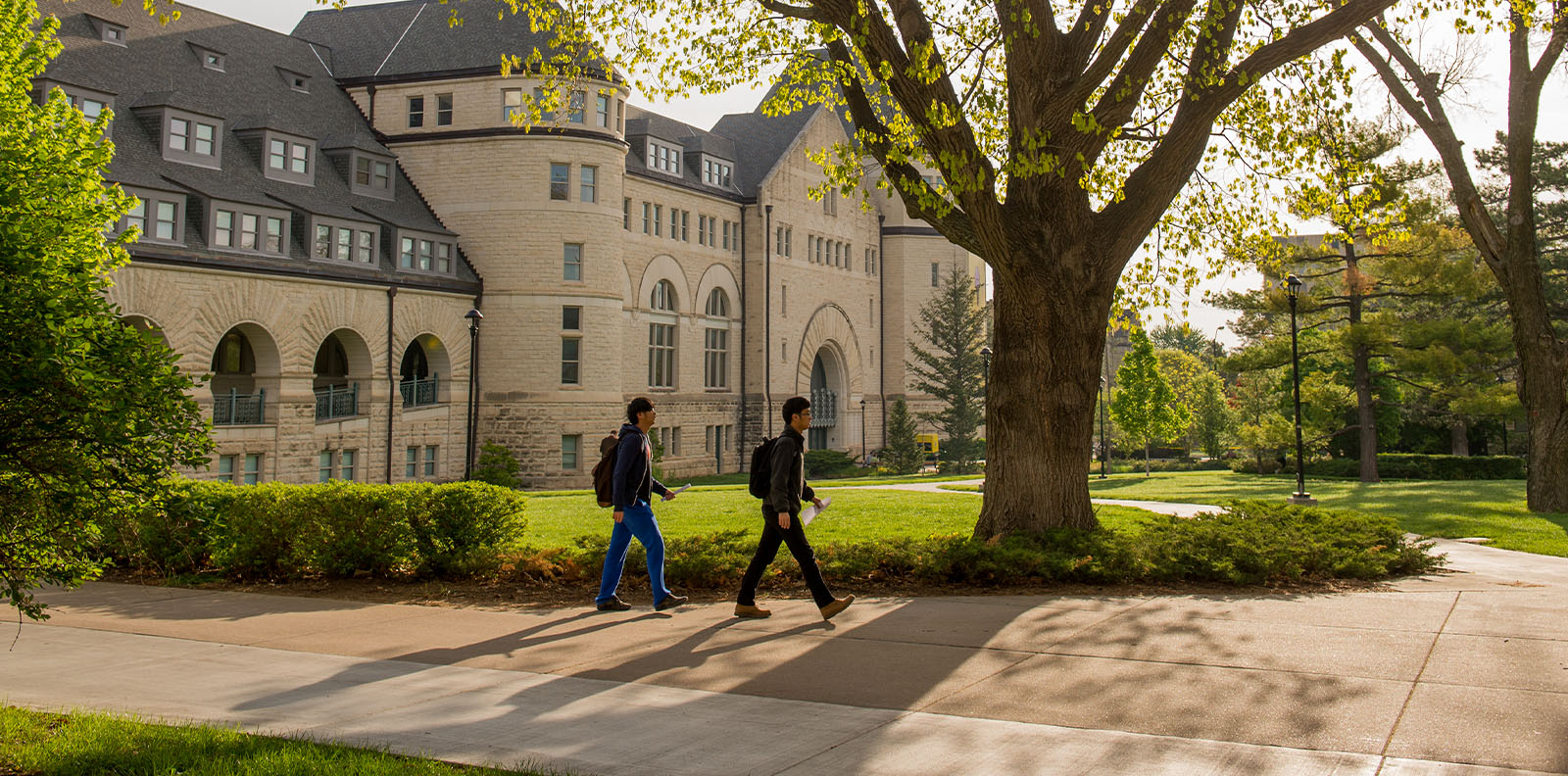 Develop a Microcredential