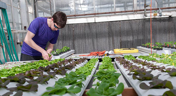 Agriculture, Food, and Natural Resources